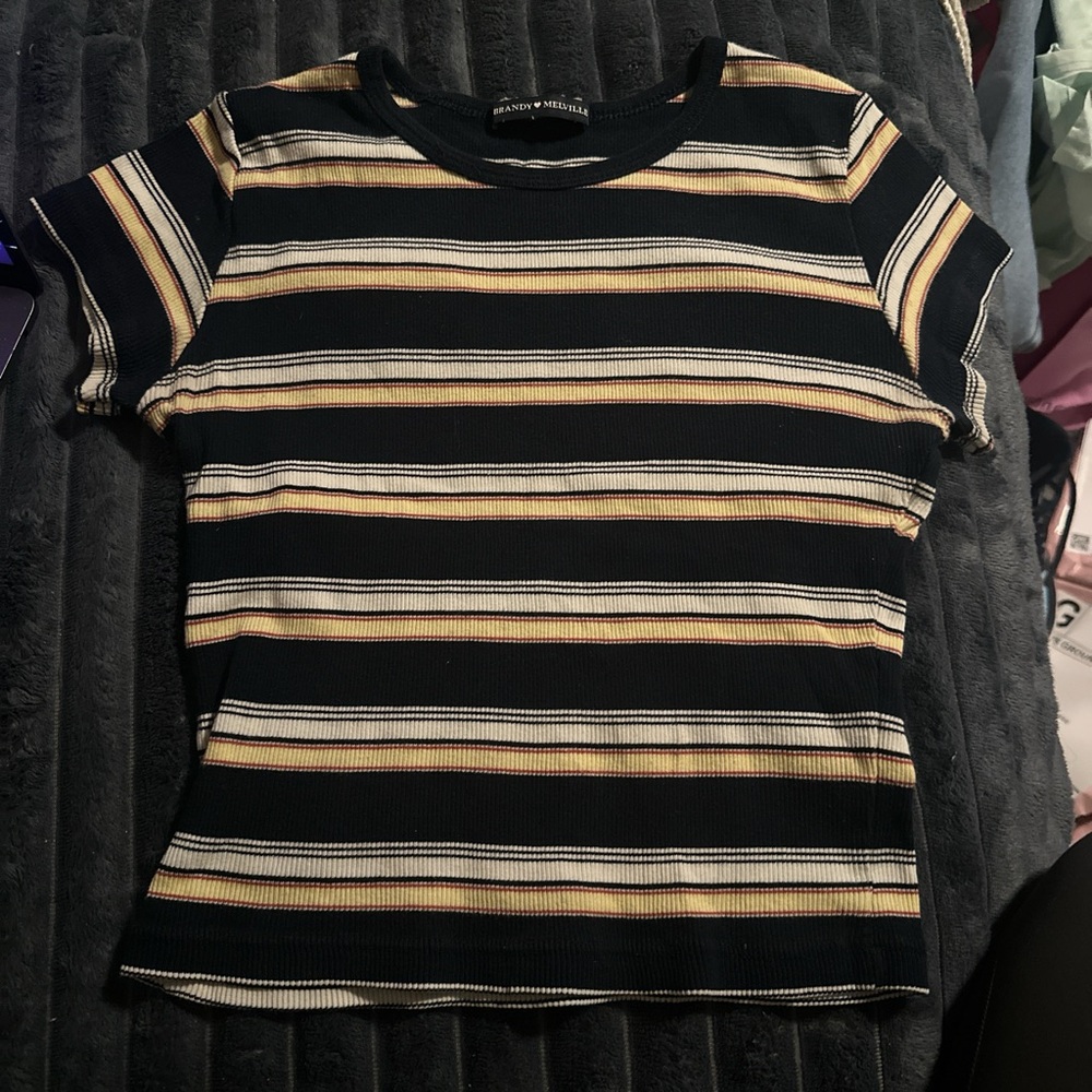 Brandy Melville Crop Top